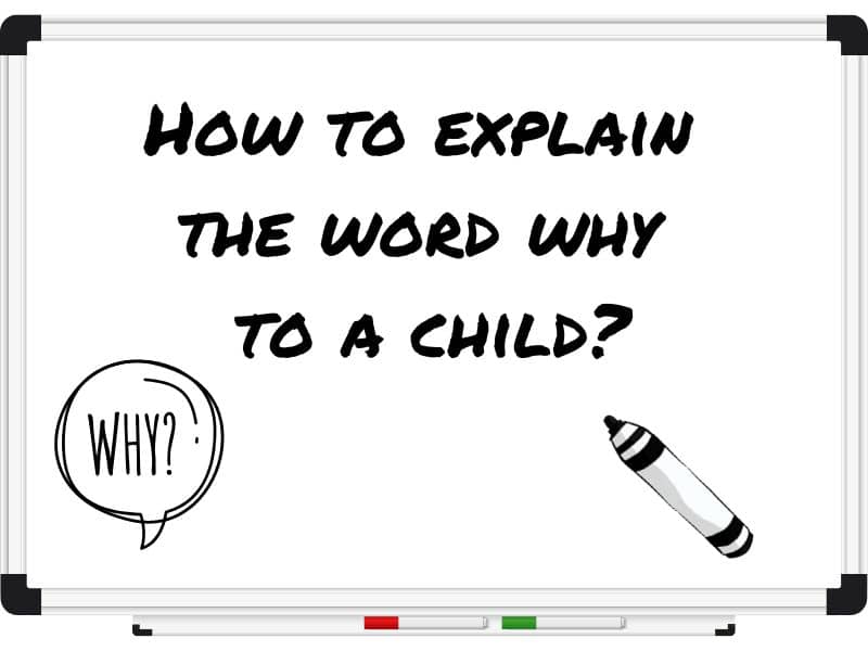 how-to-explain-the-word-why-to-a-child